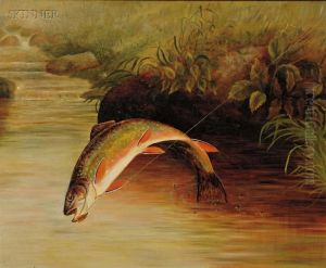 Rainbow Trout Taking A Fly by Samuel A. Kilbourne