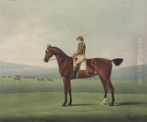 Mr Walsh's Perdita, With A Jockey Up, On Nantwich Racecourse by Benjamin Killingbeck