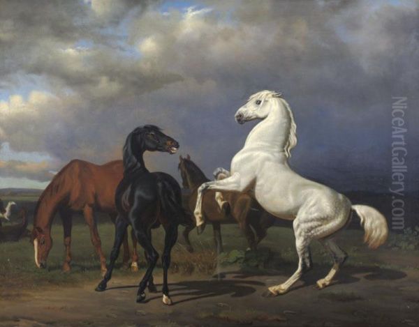 Stallions - view 1