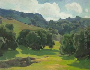 Spring Shadows by Aaron Edward Kilpatrick