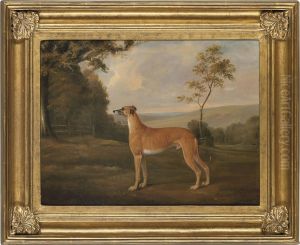 A Greyhound In An Extensive Landscape