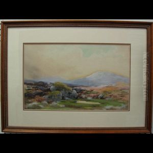 A Grey Afternoon, Lydford, Dartmoor