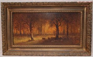 Sheep In Illuminated Forest