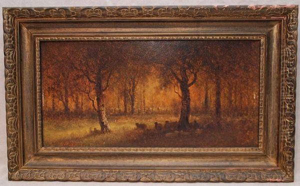 Sheepin Laminated Forest - view 1