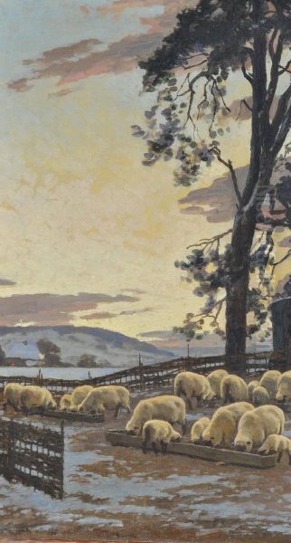 Sheep In A Pen At Sunset - view 1