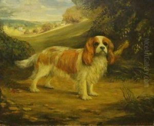 Study Of A King Charles Spaniel In Landscape