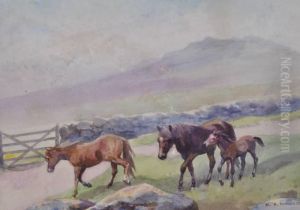 Ponies On Dartmoor