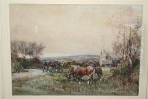 Dartmoor Ponies And Gypsy Caravan Dartmoor Ponies And Gypsy Caravan