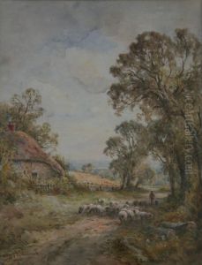 A Sussex Lane