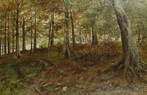 Heaning Wood, Yorkshire by Henry John Kinnnaird