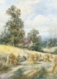 A Sussex Cornfield