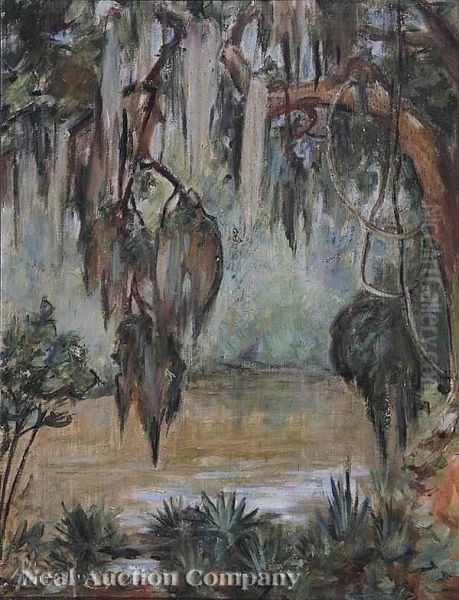 Louisiana Bayou - view 1