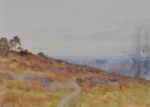 Sandhills, Surrey by Albert Kinsley