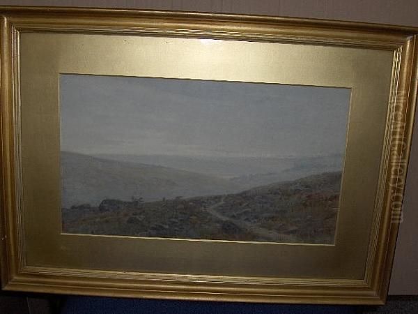 'the End Of A Wet Day' Haworth Moor - view 1