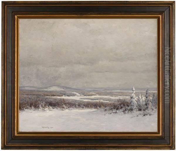 Winter Landscape - view 1