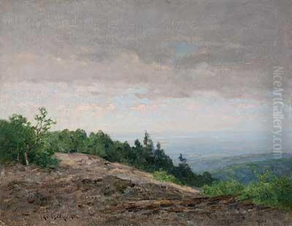 Blick In Die Mainebene Vom Altkonig - view 1