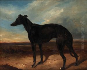 Hundportratt
