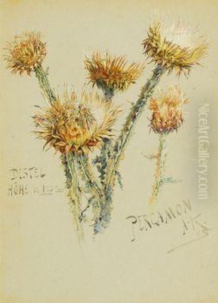 Distel - view 1