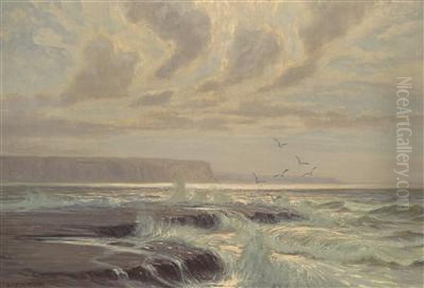 Coastal Landscape - view 1