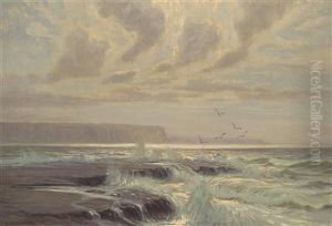 Coastal Landscape
