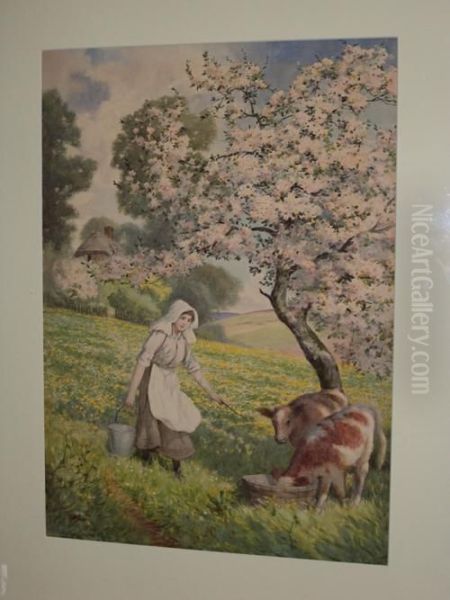 Young Maid Feeding The Calves - view 1