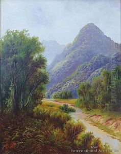 Lud Valley, Nelson