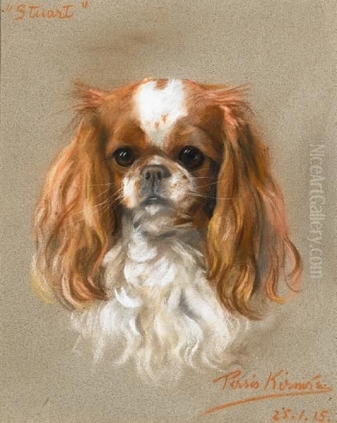 Stuart, A King Charles Spaniel - view 1