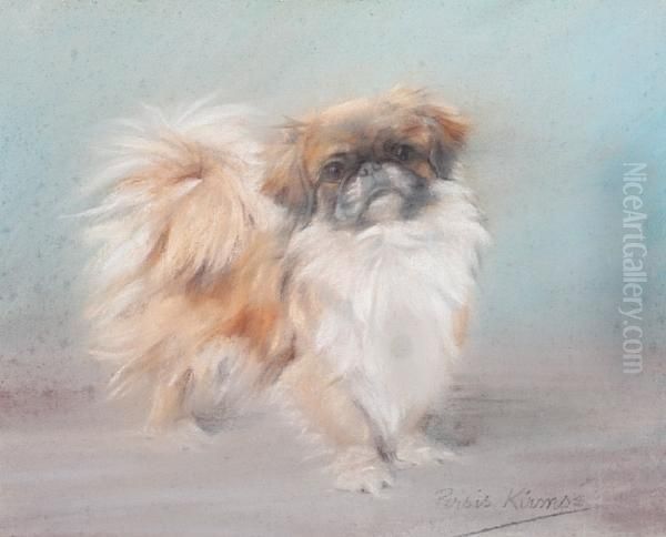 Pekinese - view 1