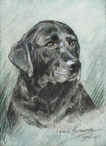 Head Study Of A Black Labrador - view 1