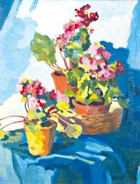 Muskatlik - view 1