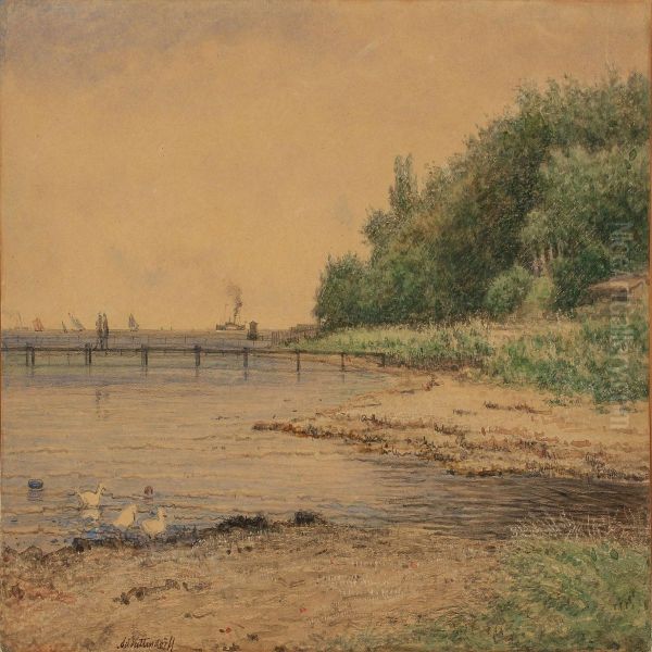 Coastel Scenery - view 1