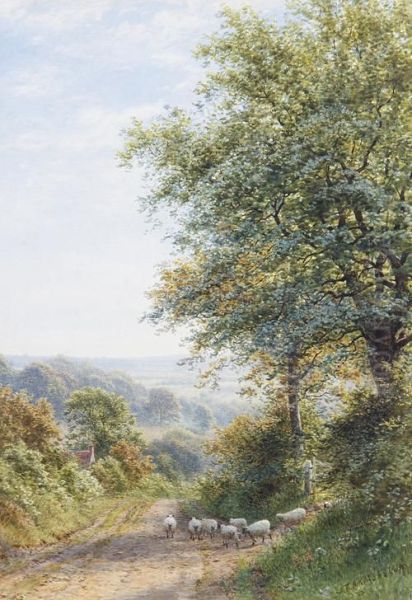 Near Windmill Hill - view 1