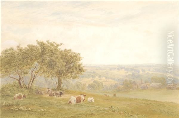 Cattle Resting In The Fields - view 1