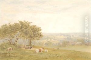 Cattle Resting In The Fields by Roberto Angelo Kittermaster Marshall