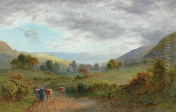 Along The Path - view 1