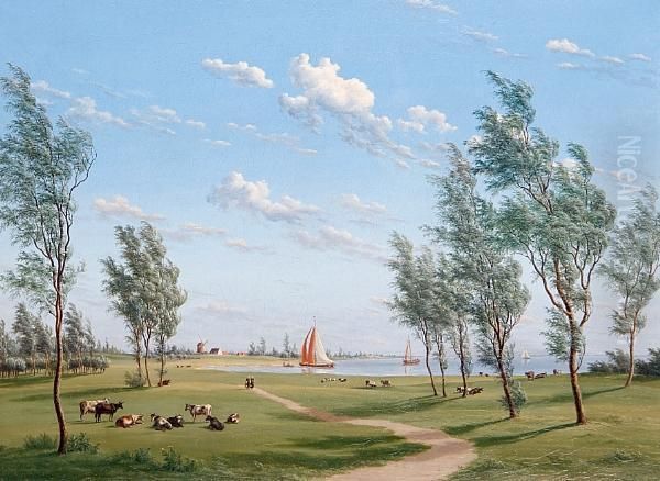 Cattle In A Meadow With Sailing Boats Beyond - view 1