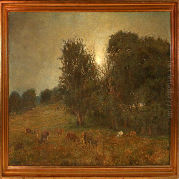 Moonlight Above The Deergarden - view 1