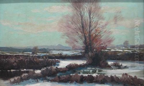 Winterlandschaftmit Park - view 1