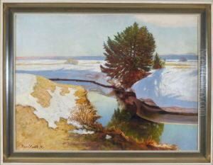 Wintersonne Im Dachauer Moos by Hans Klatt