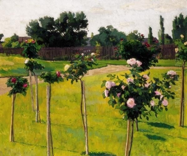 Garden With Roses In Szolnok - view 1
