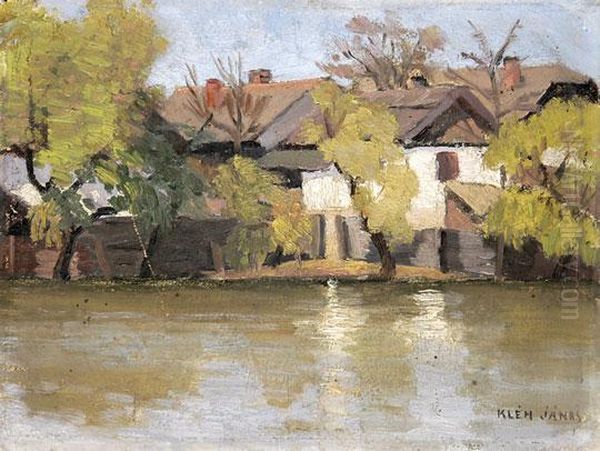 Folyopart - view 1