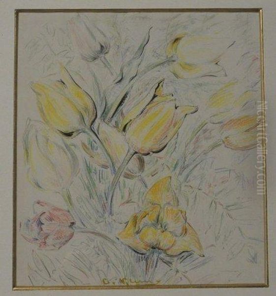 Tulipes - view 1