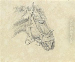 Pferdekopf Im Profil by Johann Adam Klein