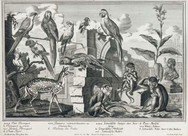 10 Plates From Representation Des Animaux De La Menagerie Des.a.s.francois De Savoye Et De Piemont - view 1