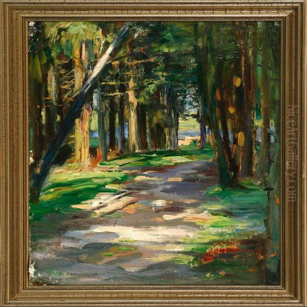 Path In A Spring Forest - view 1