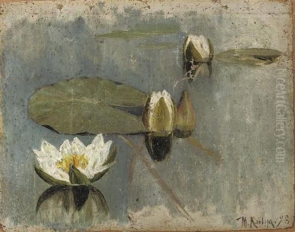 Waterlilies In Bloom - view 1