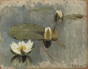 Waterlilies In Bloom
