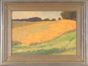 Blick Uber Ein Kornfeld Am Waldrand by Bernhard Klinckerfuss