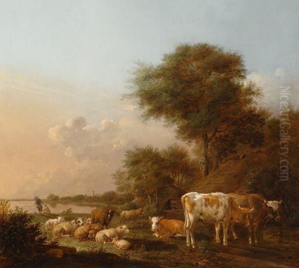 Resting Cattle By The Water - view 1