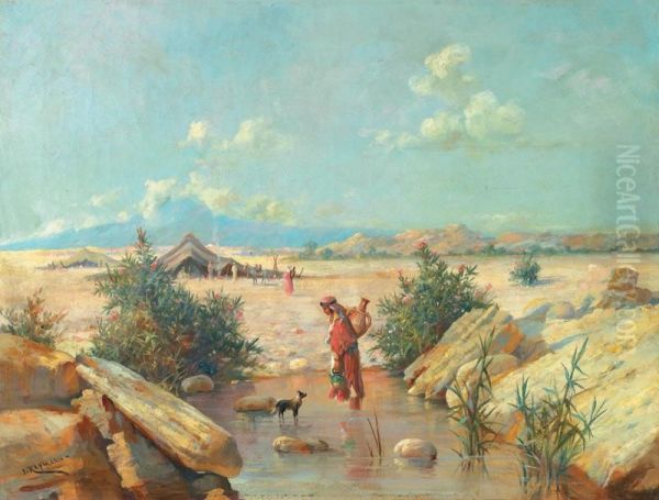 Campement Dans Le Desert - view 1